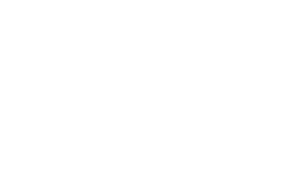 Eagle Womens Business Enterprise Seal